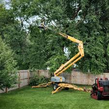 Organic Lawn Care Solutions in Holyoke, CO